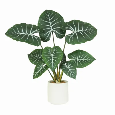 Floral decoration - Artificial Taro Plant in White Pot - LIGNE DÉCO