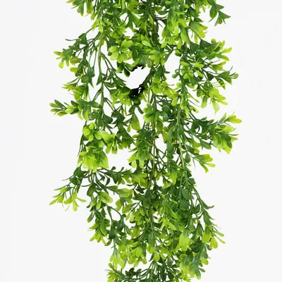 Floral decoration - Artificial boxwood trail - LIGNE DÉCO