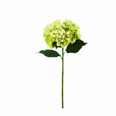 Floral decoration - Artificial hydrangea branch – Green - LIGNE DÉCO