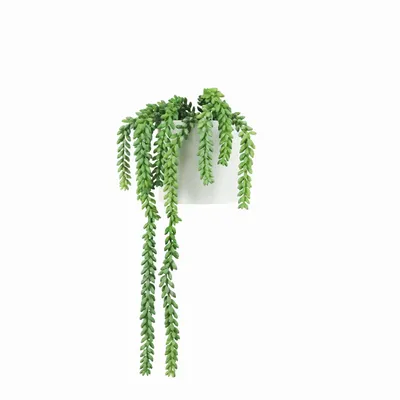 Floral decoration - Artificial Trailing Succulent in Pot - LIGNE DÉCO