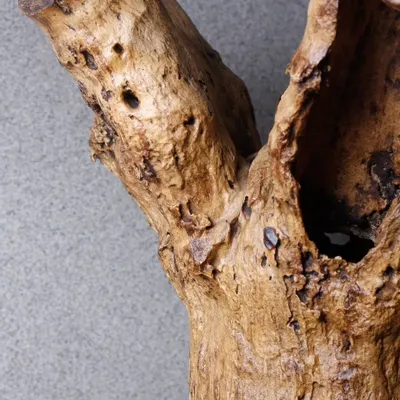 Console table - Wildwood - ML ATELIERS