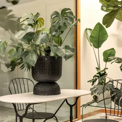 Pottery - TWIST - plant basket. - HANDED BY