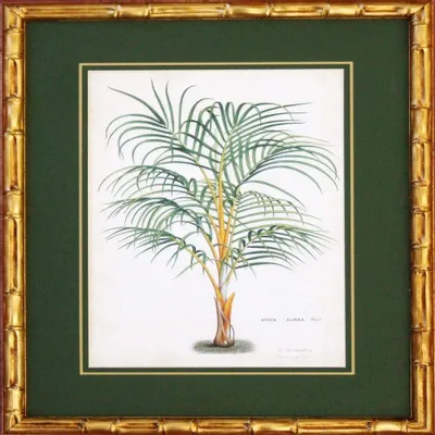Frames - TROPICAL PALMS - SERAFINI FRAMES DI G. GIULIANI