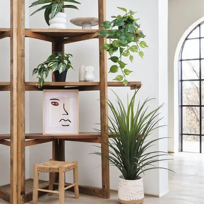 Décorations florales - Pothos retombant “toucher naturel” (assortis) - LIGNE DÉCO