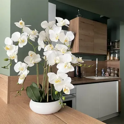 Floral decoration - “Real Touch” Orchid in Ceramic Bowl - LIGNE DÉCO