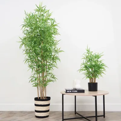 Floral decoration - Artificial bamboo, 6 trunks, black pot - LIGNE DÉCO