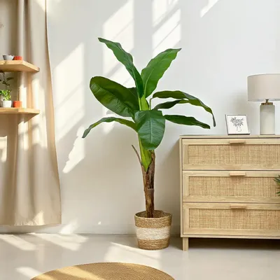 Décorations florales - Bananier artificiel 9 feuilles en pot plastique noir - LIGNE DÉCO