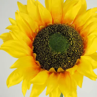 Décorations florales - Tige artificielle de tournesol – Jaune - LIGNE DÉCO