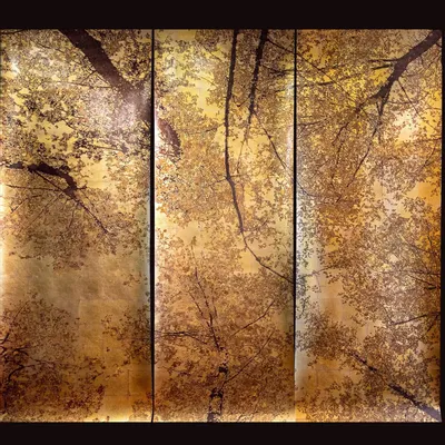 Papiers peints - Cimes - ULGADOR