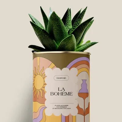 Gifts - La bohème - Maxi Aloé - DIAIWAIE