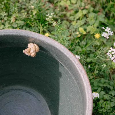 Céramique - Le Panier - SALT CERAMICS