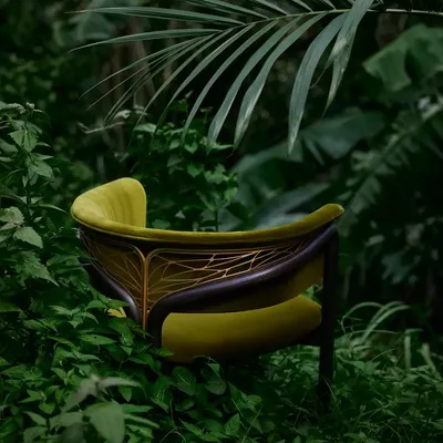 Chairs - Volita dining chair - MORPHO