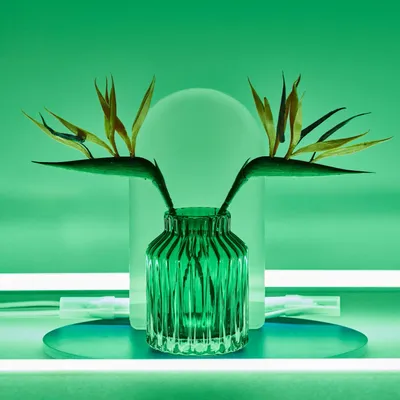 Glass - Vases - JU.DESIGN
