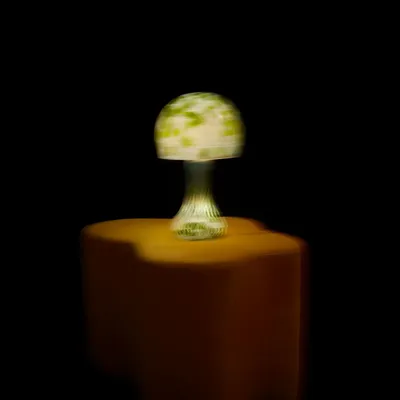 Lampes de table - Lamps - JU.