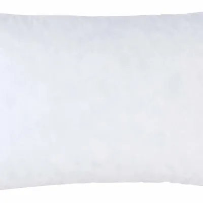 Cushions - Plumes Cushion Interior Blanc 60 X 40 - LA CERISE SUR LE GATEAU