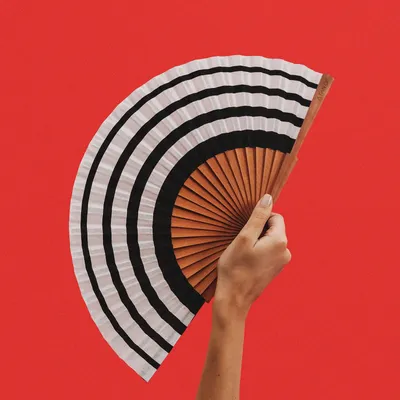 Objets design - Éventail SERENITY, 23 cm, noir et blanc - A FAN OF