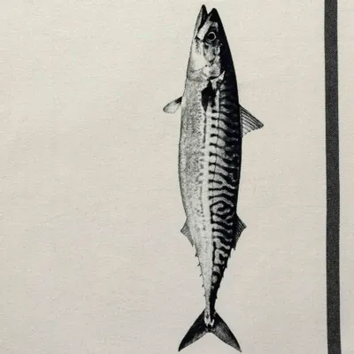 Dish towels - Maquereau Tea Towel Écru 70 X 50 - LA CERISE SUR LE GATEAU