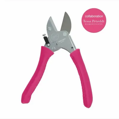 Accessoires de jardinage - Tulipe rose - CHOP CHOP BLOOM