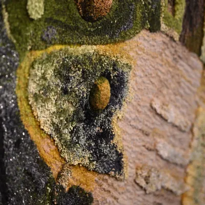 Bespoke carpets - Custom Made Hand Tufted Carpet by Tai Ping Carpets - LUMINANCE BY SIMON YAM