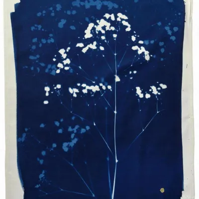 Torchons - Torchon Gypso Bleu 70 x 50 - LA CERISE SUR LE GATEAU