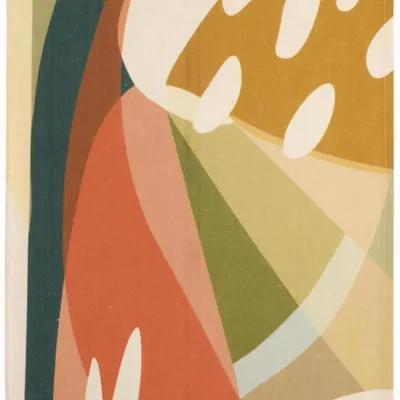 Torchons - Torchon recyclé Revao Multico 50 x 70 - MAISON VIVARAISE - SDE VIVARAISE WINKLER