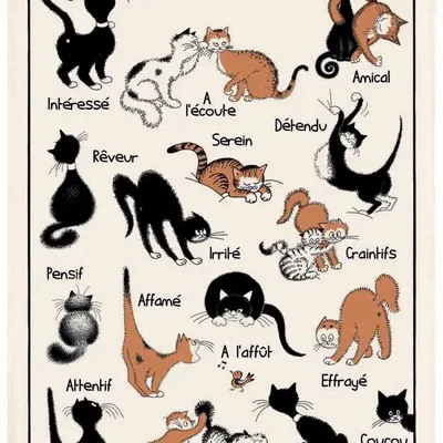 Torchons - Torchon Dubout Chat'tiudes Ecru 48 x 72 - MAISON VIVARAISE - SDE VIVARAISE WINKLER