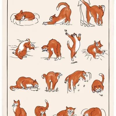 Dish towels - Kitchen Towel Journee De Chat Ecru 48 X 72 - MAISON VIVARAISE - SDE VIVARAISE WINKLER