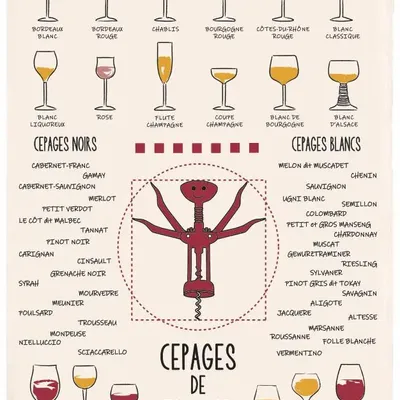 Torchons - Torchon Vins et cépages Ecru 50 x 70 - MAISON VIVARAISE - SDE VIVARAISE WINKLER