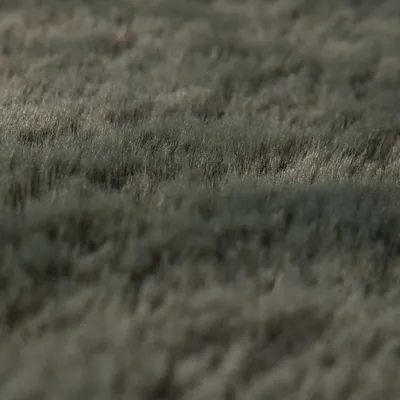 Tapis - Tapis Eddy Thym 160 x 230 - MAISON VIVARAISE - SDE VIVARAISE WINKLER