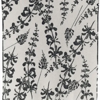 Throw blankets - Gini recycled blanket Carbone 127 X 160 - MAISON VIVARAISE - SDE VIVARAISE WINKLER