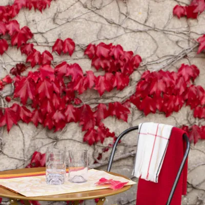 Chaises - Galette de chaise 36 points Zea recyclée Tournesol 38 x 38 x 3 cm - MAISON VIVARAISE - SDE VIVARAISE WINKLER