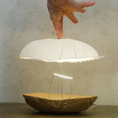 Lampes à poser - Cocon-Terre - CELINE WRIGHT