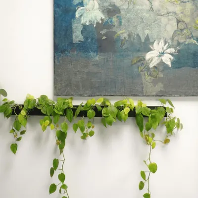 Window boxes - LE TRAIT, Natural Slate Wall Planter - ARDOISE DESIGN