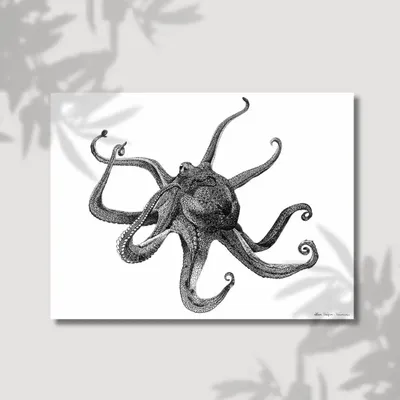 Poster - The Octopus - LISON TRÉPOS-TANNEAU