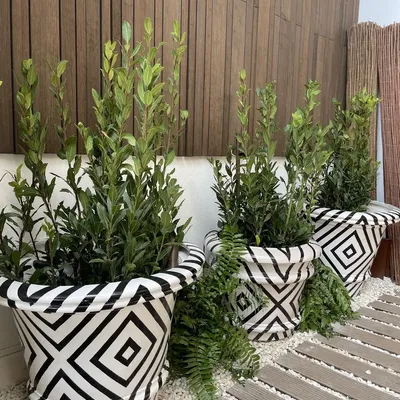 Flower pots - Zigzag pot - GUADARTE