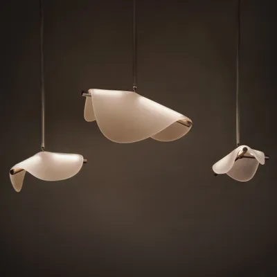 Hanging lights - Aurora - Silhouette colorway - TRIODE