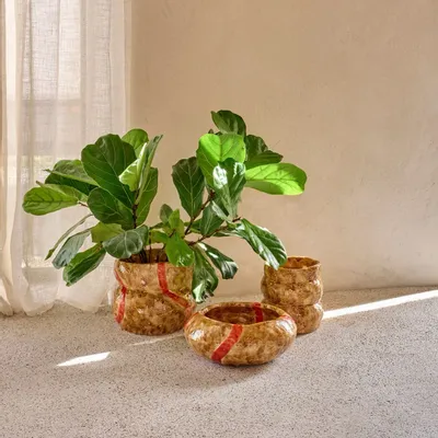 Decorative objects - maNi - POMAX