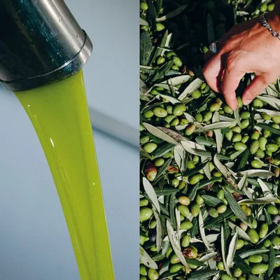 Objets de décoration - Huile d'olive - NEW MAGS