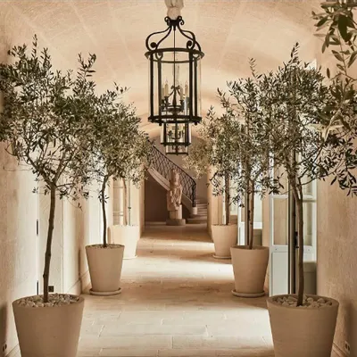 Objets de décoration - Chateau Leoube - NEW MAGS