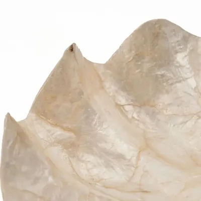 Porte-savons - Le Porte-Savon Mother of Pearl - Blanc - S - BAZAR BIZAR LIVING