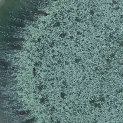 Everyday plates - The Aqua Salad Plate - BAZAR BIZAR LIVING