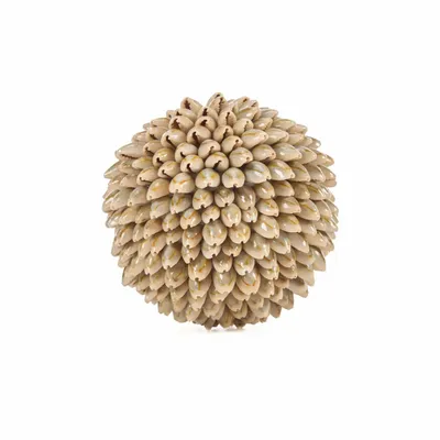 Decorative objects - The Oluolu Shell Ball - M - BAZAR BIZAR LIVING