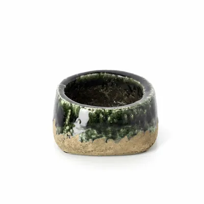 Flower pots - The Moss Bowl Planter - Concrete Green - Low - BAZAR BIZAR LIVING