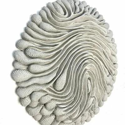 Objets de décoration - ORGANIK MINERAL - VERO REATO