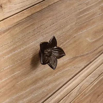 Decorative Ironwork - AMARYLLIS Cabinet pull - OBJET INSOLITE