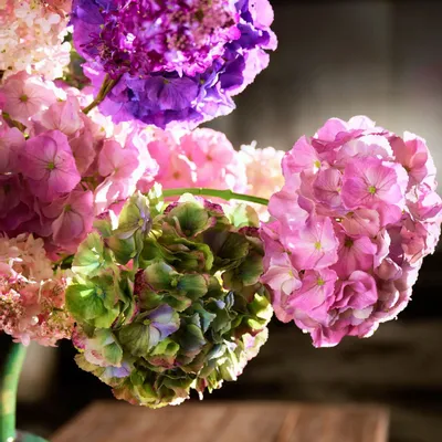 Floral decoration - Hydrangeas as if freshly picked - SILK-KA BV
