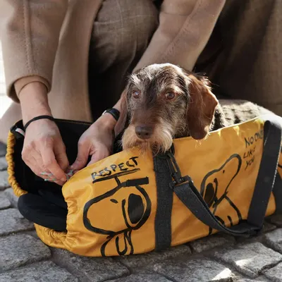 Accessoires animaux - Ugo Sac Shopping Édition Limitée - UGO