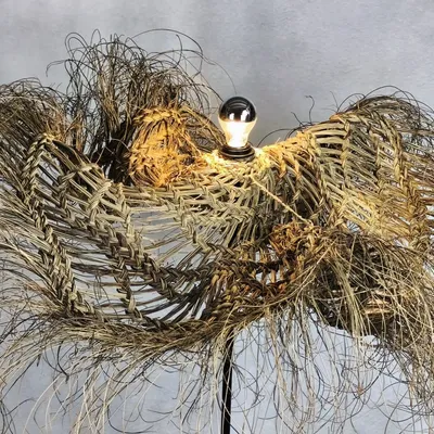 Blinds - Coast - AOZILH