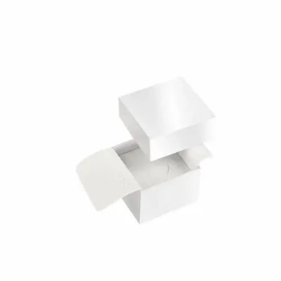 Gifts - Glossy white cardboard ring box/trinket tray - LAVAL 1878