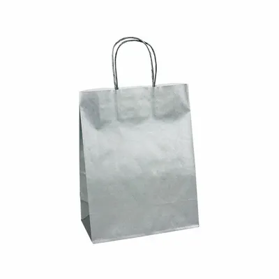 Gifts - Silver kraft paper bags, 23 x 12 x H 30cm, 90g (x50) - LAVAL 1878
